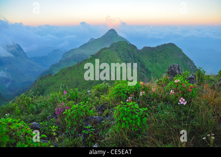 scene of 'Chiang Dao' mountain, Thailand Stock Photo