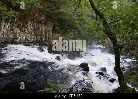 View Down Swallow Falls in Full Spate, Afon Llugwy River, Snowdonia National Park, Betws y Coed, Gwynedd, North Wales, UK Stock Photo