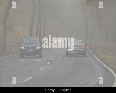 eine Landstraße im Herbst bei Nebel | a country road in fall at fog Stock Photo
