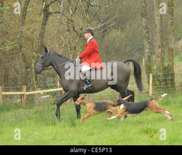 HUNTSMAN AND HIS HOUNDS Stock Photo