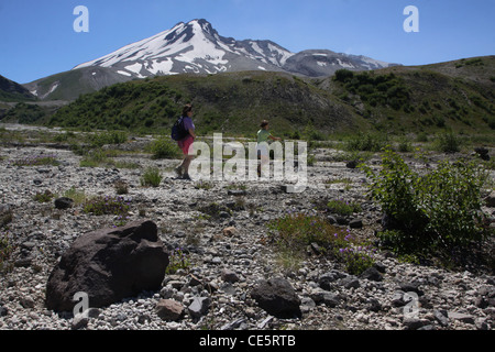hiker pumice plain Mount St Helens Volcano National monument Stock Photo
