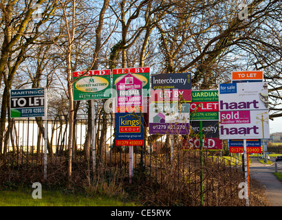 Estate Agents for sale boards Stock Photo