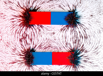 Two red and blue bar magnets side by side showing the magnetic field with iron filings. Stock Photo