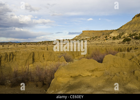Dry Wash, Ojito Wilderness, Sandoval county, New Mexico, USA. Stock Photo