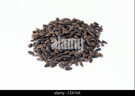 Sunflower seeds on white background Stock Photo