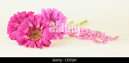 Three artificial Pink Gerbera isolated on the white background Stock Photo