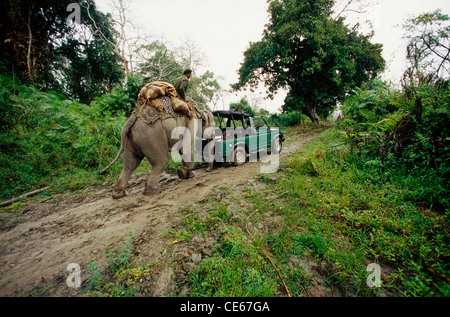 Elephant pushing jeep car ; Kaziranga National Park ; UNESCO world heritage site ; Kanchanjuri ; Assam ; India ; Asia Stock Photo