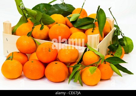 box full of fresh mandarin with green leaves Stock Photo