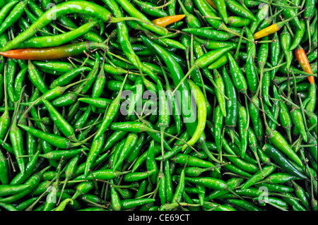 Close up view of birds eye green chili peppers. Stock Photo
