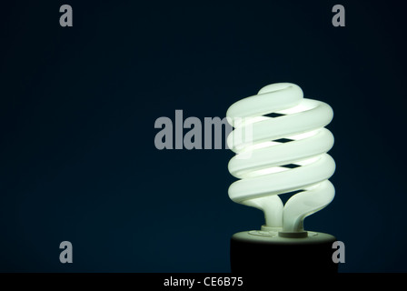 A florescent bulb symbolizing the saving energy of and money Stock Photo