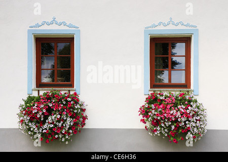 close-up two wood old windows with flowers Stock Photo