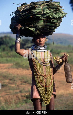 Bonda tribes tribal woman in beads dress with load of leaves ; Orissa ; India Stock Photo