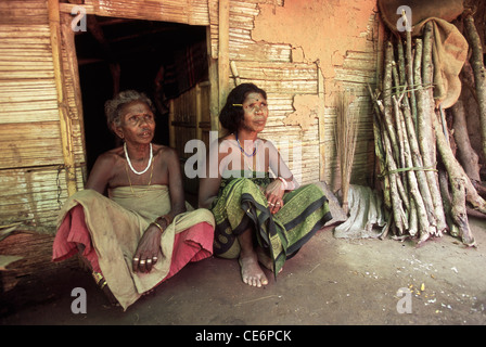 Muduga tribal ladies, Silent Valley, Kerala, India, Asia Stock Photo
