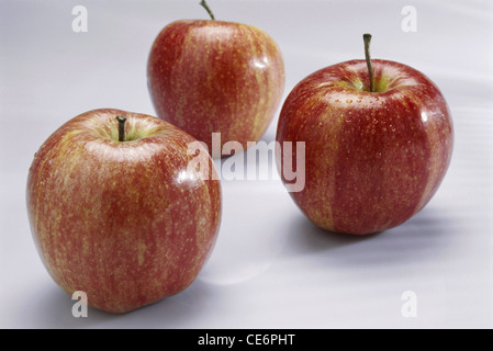 Red Apple fruit ; Red Apples ; three red apples on white background ; india ; asia Stock Photo