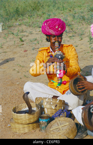 Indian Snake charmer charming serpent with musical instrument pungi ; pushkar fair ; rajasthan ; india ; asia Stock Photo