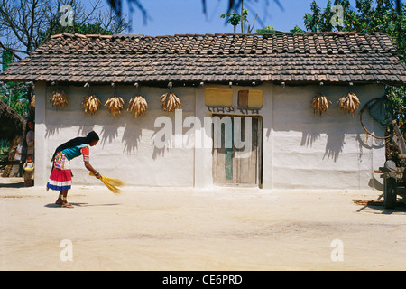 Indian Tharu tribe woman sweeping with broom in front of her village house ; Dudhwa ; Lakhimpur district ; Uttar Pradesh ; India ; Asia Stock Photo