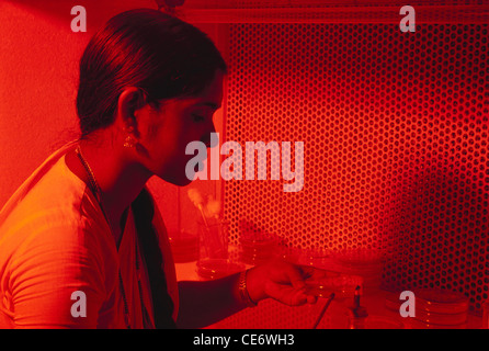 Indian woman working in laboratory india Stock Photo