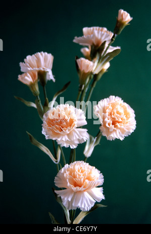 Artificial flowers ; artificial pink carnation flowers arrangement green background Stock Photo