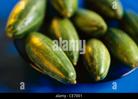 Vegetable pear gourds on blue background Stock Photo