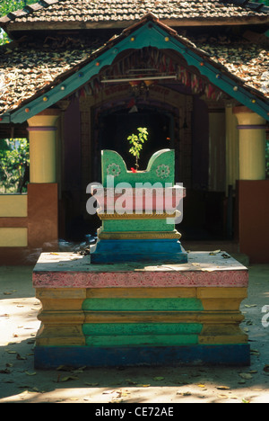 STP 81784 : Holy Basil Tulsi Vrindavan Religion Hindu Civilization Tulsi Medicinal Plant ; vengurla ; maharashtra ; india Stock Photo