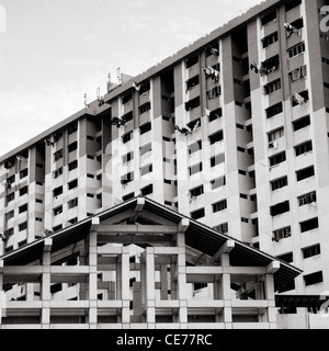 High density public housing in Singapore in Far East Southeast Asia. Architecture Tower Skyscraper Condominium Apartment Block High Rise Travel Stock Photo