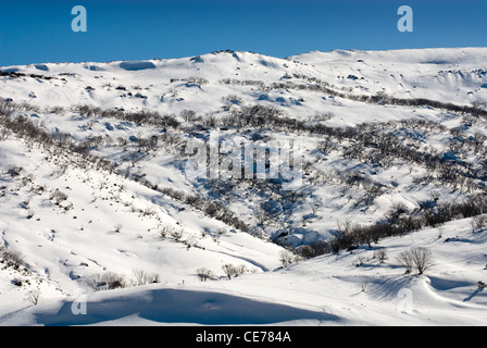 Snow-covered hills at Guthega, Snowy Mountains, New South Wales, Australia Stock Photo