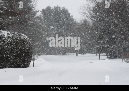 Snow falling on a country road in Quebec Stock Photo