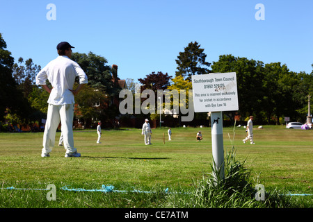 Local Bye Law sign next to pitch, cricket match in progress , Southborough Common , near Tunbridge Wells , Kent , England Stock Photo