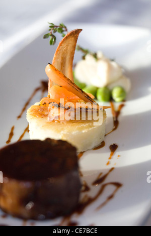 SHIN OF BEEF WITH DAUPHINOISE ROSTI Stock Photo
