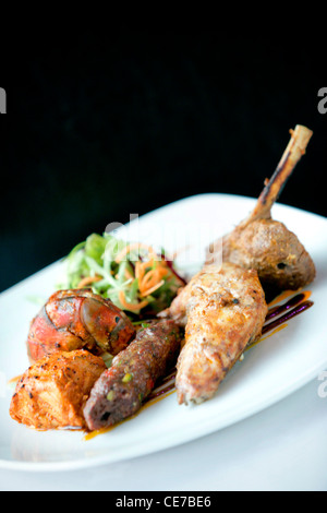 GRILL PLATTER OF SMOKED SALMON, GRILLED PRAWNS, TANDOORI CHICKEN AND LAMB CHOP Stock Photo