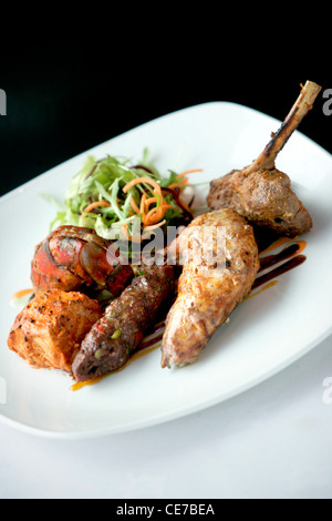 GRILL PLATTER OF SMOKED SALMON, GRILLED PRAWNS, TANDOORI CHICKEN AND LAMB CHOP Stock Photo