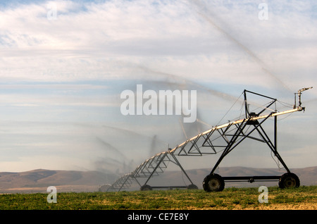 Agriculture Irrigation with large sprinkler spraying water into the sky Stock Photo