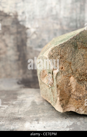 A natural big stone in an abstract gray background. Stock Photo