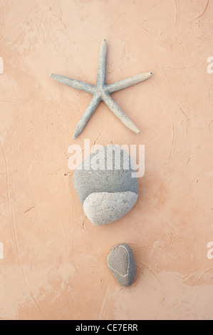 Studio still life of a blue grey star fish and beach stones. Stock Photo