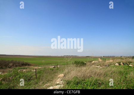 Israel, Shephelah, Tel Miqne, site of biblical Ekron Stock Photo