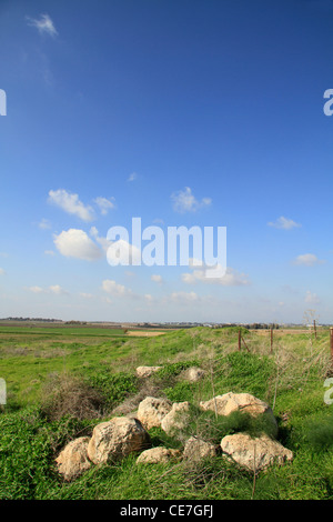 Israel, Shephelah, Tel Miqne, site of biblical Ekron Stock Photo