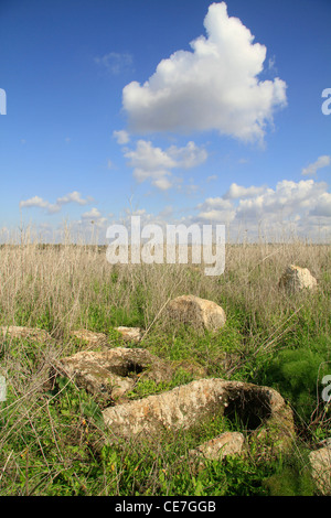 Israel, Shephelah, ancient olive press in Tel Miqne, site of biblical Ekron Stock Photo