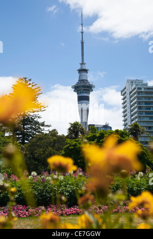 View through flowers in Albert Park to the Sky Tower. Auckland, North Island, New Zealand Stock Photo