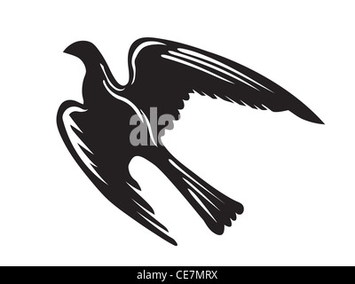 vector silhouette of the ravenous bird on white background Stock Photo