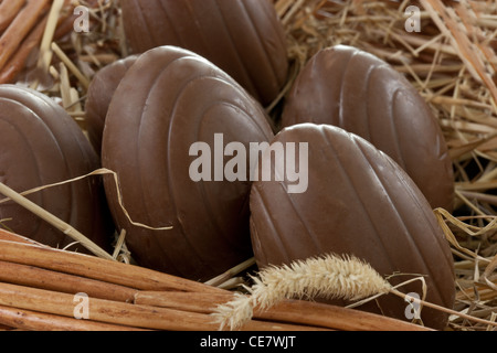 A group of chocolate eggs in a basket filled with hay Stock Photo