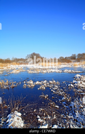 autumn ice on freeze marsh Stock Photo