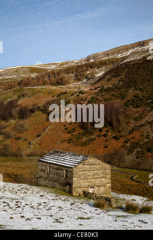 Stone Field Barn in Twaite,  snowfall and winter in Swaledale, North Yorkshire Dales, Richmondshire,  UK