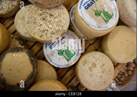 Local cheeses on sale at the Cooperativa Casearia. Val di Vara. Verese Ligure. Liguria. Italy Stock Photo