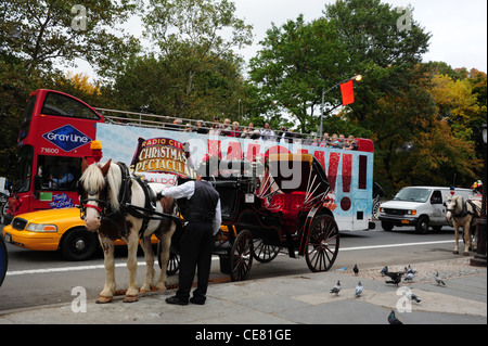 Grey sky view, to Central Park South autumn trees, sight-seeing tour bus passing horse carriage, Grand Army Plaza, New York Stock Photo