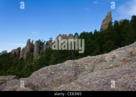 American Black Hills National forest Custer State Park the Needles Highway South Dakota in USA overlooking landscape blue sky nobody horizon hi-res Stock Photo