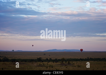 Kenya - Masai Mara game reserve -  Early Morning Landscape Stock Photo