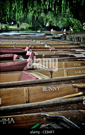 Punts on the river Cam in Cambridge England