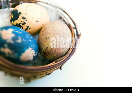 Close up of ornate quails eggs in a basket Stock Photo