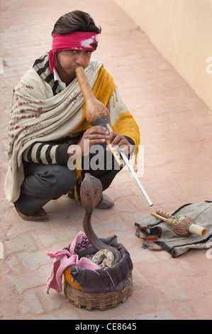 Snake charmer with cobra, at Amber Fort, outside Jaipur, in Rajasthan, India Stock Photo