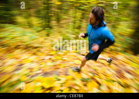 A high angle panning view of a man trail running in fall colors. Stock Photo